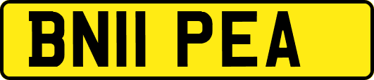 BN11PEA