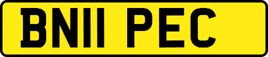 BN11PEC