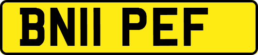 BN11PEF