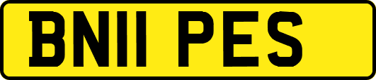 BN11PES