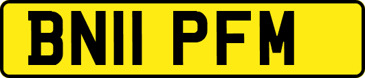 BN11PFM