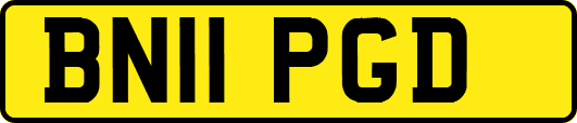 BN11PGD