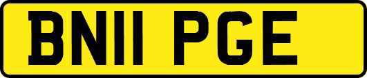 BN11PGE