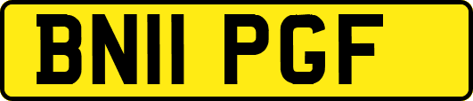 BN11PGF