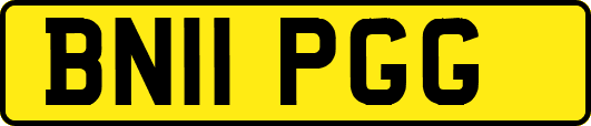 BN11PGG