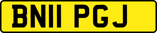 BN11PGJ