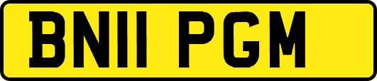 BN11PGM