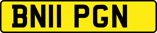 BN11PGN