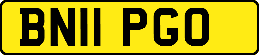 BN11PGO