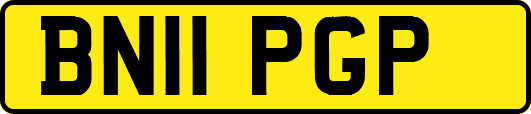 BN11PGP