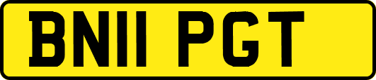 BN11PGT