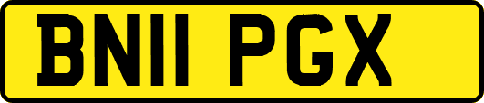 BN11PGX