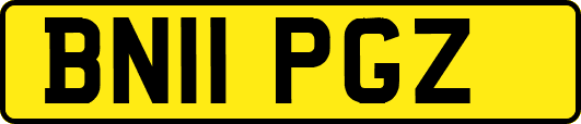 BN11PGZ