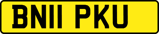 BN11PKU