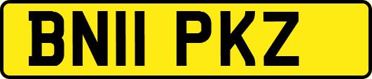 BN11PKZ