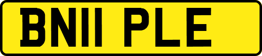 BN11PLE