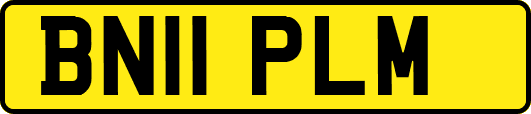 BN11PLM