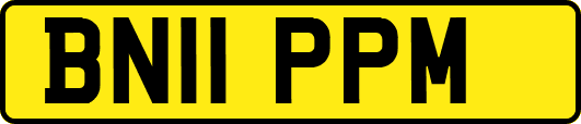 BN11PPM