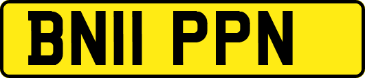 BN11PPN