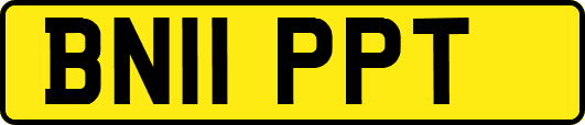 BN11PPT