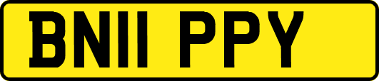 BN11PPY