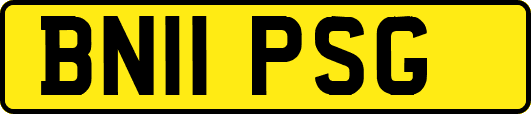 BN11PSG