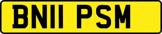BN11PSM