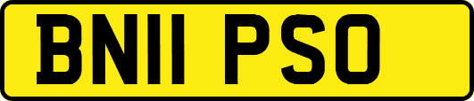 BN11PSO