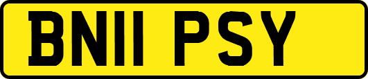 BN11PSY