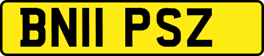 BN11PSZ