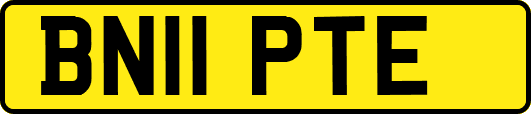 BN11PTE