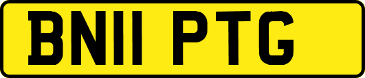 BN11PTG