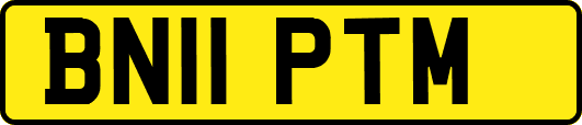 BN11PTM