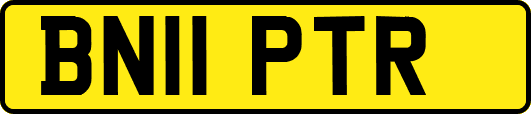 BN11PTR