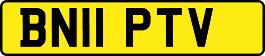 BN11PTV