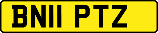 BN11PTZ