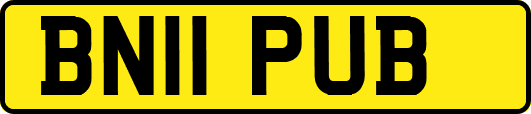 BN11PUB