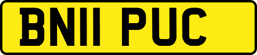 BN11PUC