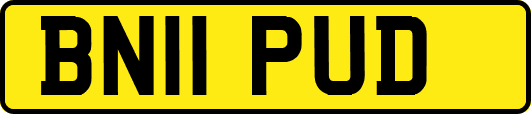 BN11PUD