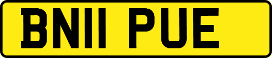 BN11PUE