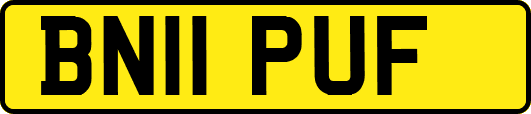 BN11PUF