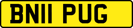 BN11PUG