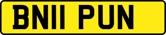 BN11PUN