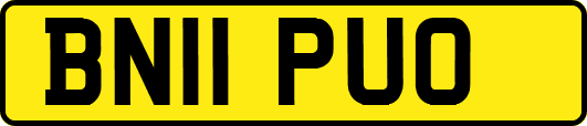 BN11PUO