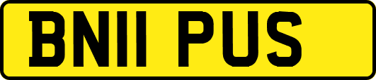 BN11PUS