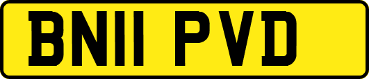 BN11PVD
