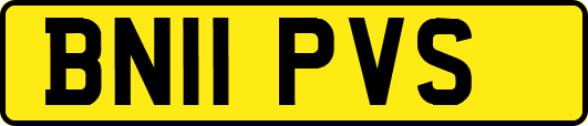 BN11PVS