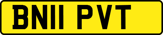 BN11PVT