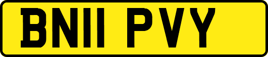 BN11PVY