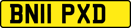 BN11PXD